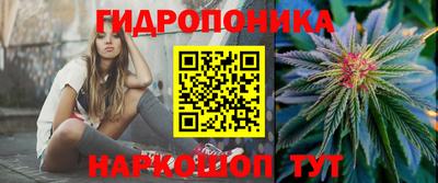 apvp Рыбинск