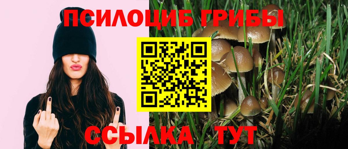 Стрежевой  Галлюциногенные грибы мухоморы  Галлюциногенные грибы мицелий  Вход с VPN 